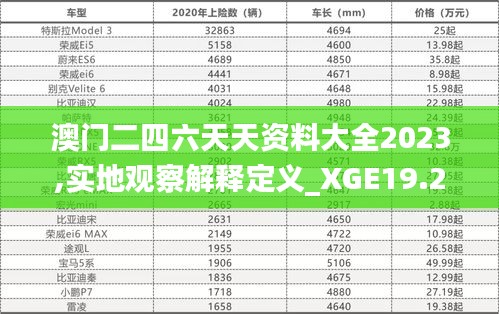 澳门二四六天天资料大全2023,实地观察解释定义_XGE19.21