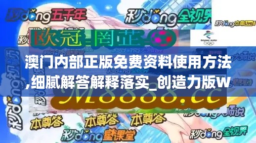 澳门内部正版免费资料使用方法,细腻解答解释落实_创造力版WLS6.66