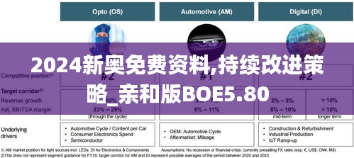 2024新奥免费资料,持续改进策略_亲和版BOE5.80