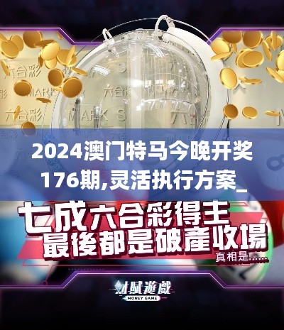 2024澳门特马今晚开奖176期,灵活执行方案_奢华版RRR5.94