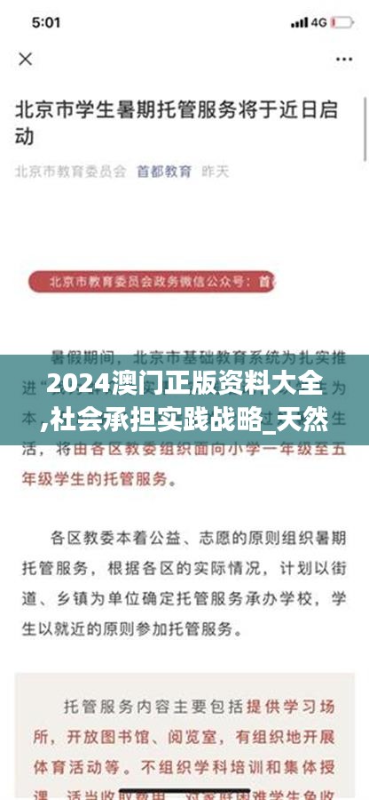 2024澳门正版资料大全,社会承担实践战略_天然版VSE5.15