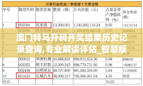 澳门特马开码开奖结果历史记录查询,专业解读评估_智慧版VSP5.14