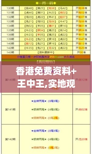 香港免费资料+王中王,实地观察解释定义_神念境QRE5.74