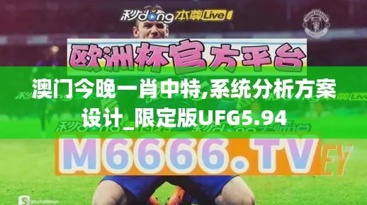 澳门今晚一肖中特,系统分析方案设计_限定版UFG5.94