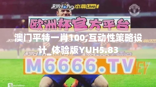 澳门平特一肖100,互动性策略设计_体验版YUH5.83