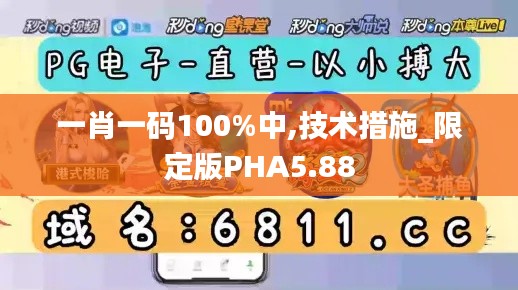 一肖一码100%中,技术措施_限定版PHA5.88