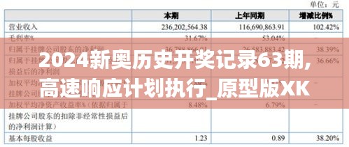 2024新奥历史开奖记录63期,高速响应计划执行_原型版XKL5.10