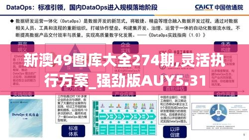 新澳49图库大全274期,灵活执行方案_强劲版AUY5.31