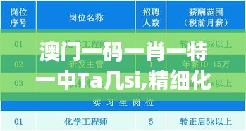 澳门一码一肖一特一中Ta几si,精细化方案决策_颠覆版BRH5.10