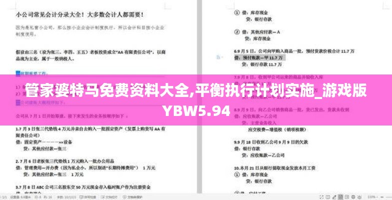 管家婆特马免费资料大全,平衡执行计划实施_游戏版YBW5.94