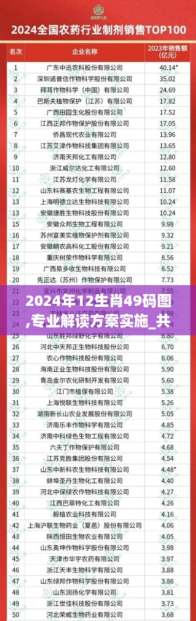 2024年12生肖49码图,专业解读方案实施_共鸣版KLH5.48