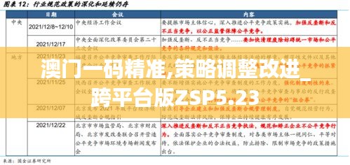 澳门一码精准,策略调整改进_跨平台版ZSP5.23