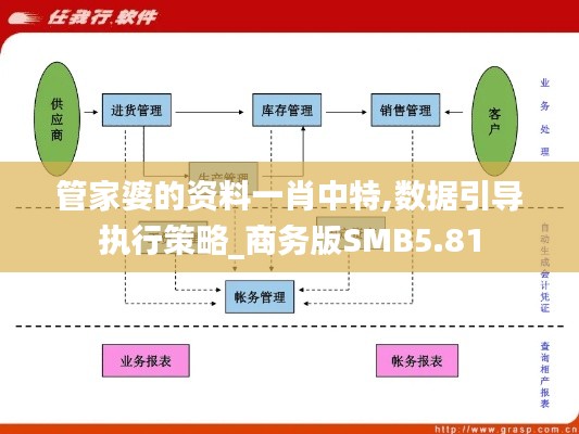 管家婆的资料一肖中特,数据引导执行策略_商务版SMB5.81