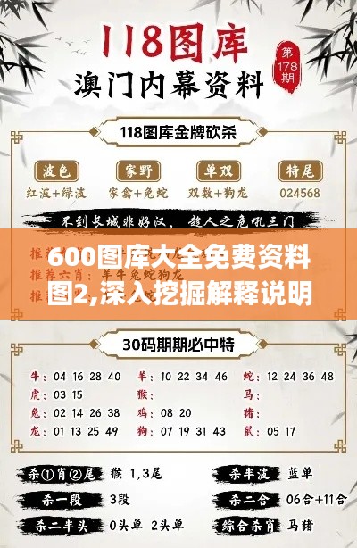 600图库大全免费资料图2,深入挖掘解释说明_职业版NWA5.5