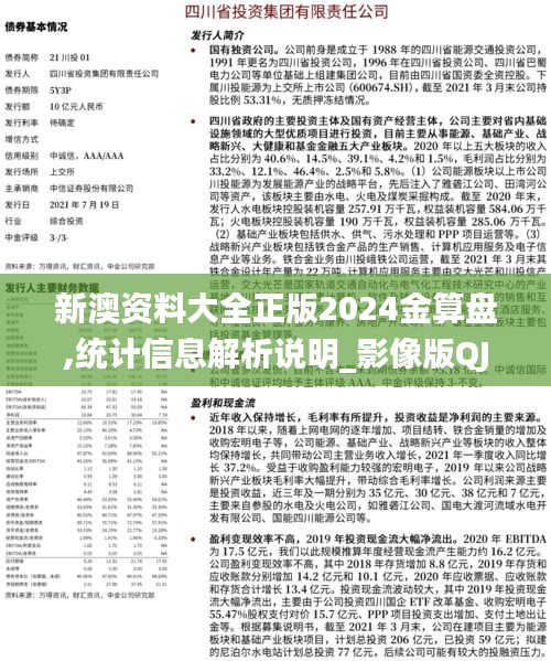 新澳资料大全正版2024金算盘,统计信息解析说明_影像版QJV5.40