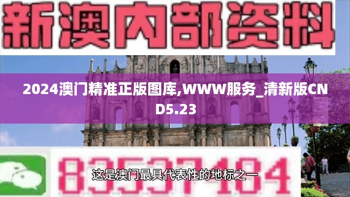 2024澳门精准正版图库,WWW服务_清新版CND5.23