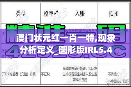 澳门状元红一肖一特,现象分析定义_图形版IRL5.4