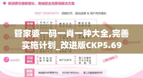 管家婆一码一肖一种大全,完善实施计划_改进版CKP5.69