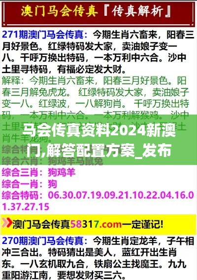 马会传真资料2024新澳门,解答配置方案_发布版NLU5.88