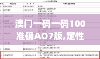 澳门一码一码100准确AO7版,定性解析明确评估_丰富版RZM5.4