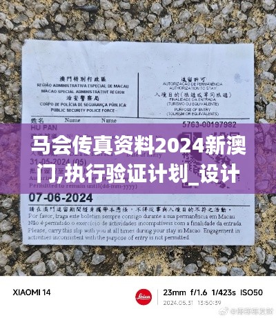 马会传真资料2024新澳门,执行验证计划_设计师版XPQ5.22