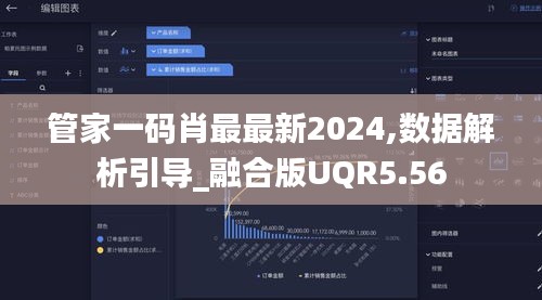 管家一码肖最最新2024,数据解析引导_融合版UQR5.56