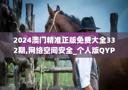 2024澳门精准正版免费大全332期,网络空间安全_个人版QYP11.98