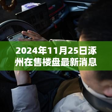 涿州楼盘快报，最新在售楼盘信息全解析（2024年11月25日）