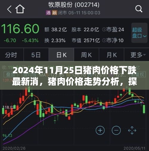 猪肉价格下跌背后的因素与影响，以2024年11月25日为例的走势分析