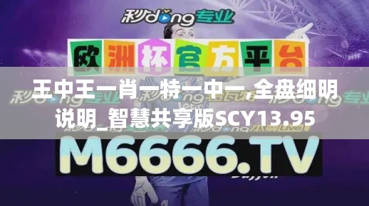 王中王一肖一特一中一,全盘细明说明_智慧共享版SCY13.95