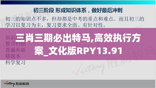 三肖三期必出特马,高效执行方案_文化版RPY13.91