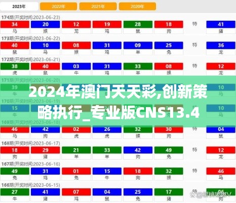 2024年澳门天天彩,创新策略执行_专业版CNS13.4