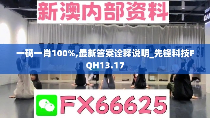 一码一肖100%,最新答案诠释说明_先锋科技FQH13.17