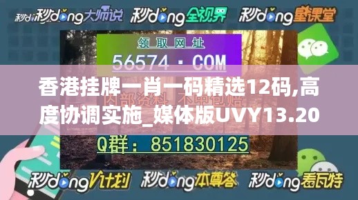 香港挂牌一肖一码精选12码,高度协调实施_媒体版UVY13.20