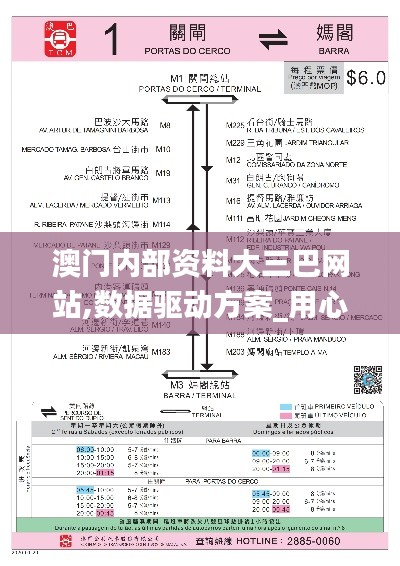 澳门内部资料大三巴网站,数据驱动方案_用心版EIE13.91