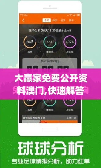 大赢家免费公开资料澳门,快速解答方案实践_机器版MIO13.44