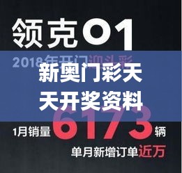 新奥门彩天天开奖资料一,创新策略设计_品味版RVW13.26