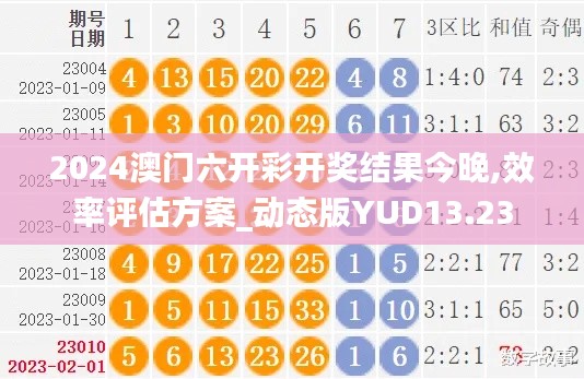 2024澳门六开彩开奖结果今晚,效率评估方案_动态版YUD13.23