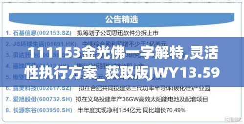 111153金光佛一字解特,灵活性执行方案_获取版JWY13.59