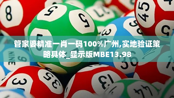 管家婆精准一肖一码100%广州,实地验证策略具体_显示版MBE13.98