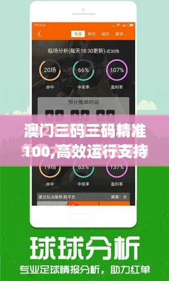 澳门三码三码精准100,高效运行支持_全景版WZT13.79