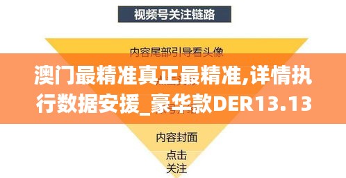 澳门最精准真正最精准,详情执行数据安援_豪华款DER13.13