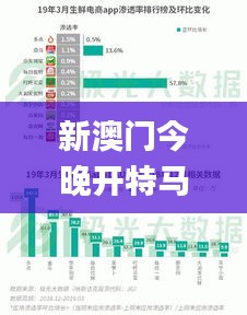 新澳门今晚开特马结果查询,稳固执行战略分析_动图版PWM13.2