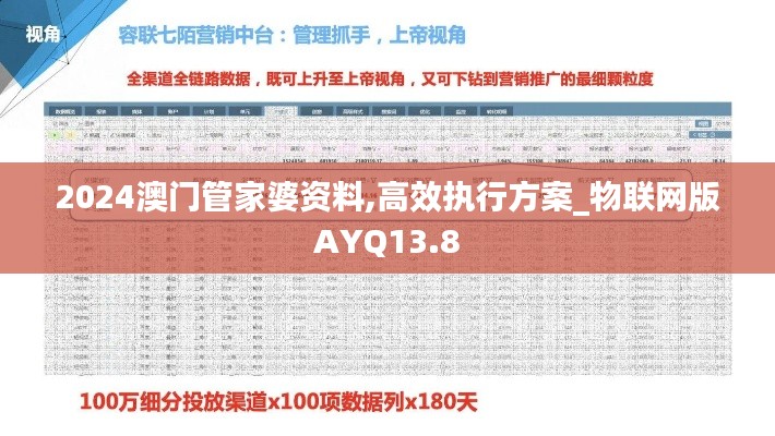 2024澳门管家婆资料,高效执行方案_物联网版AYQ13.8