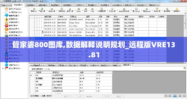 管家婆800图库,数据解释说明规划_远程版VRE13.81