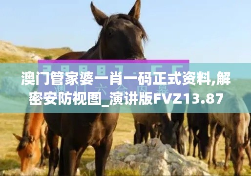 澳门管家婆一肖一码正式资料,解密安防视图_演讲版FVZ13.87