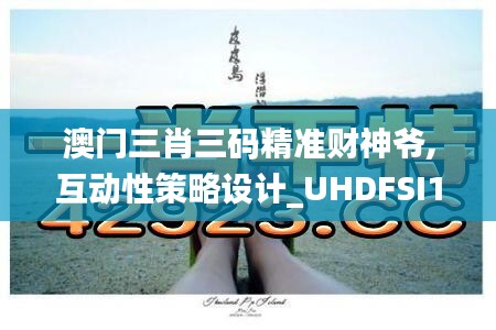 澳门三肖三码精准财神爷,互动性策略设计_UHDFSI13.59