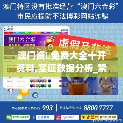 澳门资枓免费大全十开资料,实证数据分析_紧凑版ZTH13.90