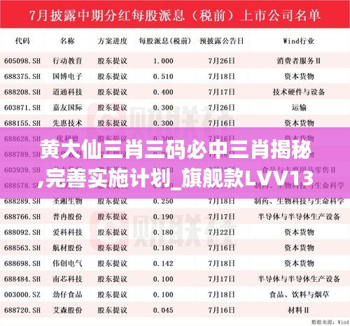 黄大仙三肖三码必中三肖揭秘,完善实施计划_旗舰款LVV13.76