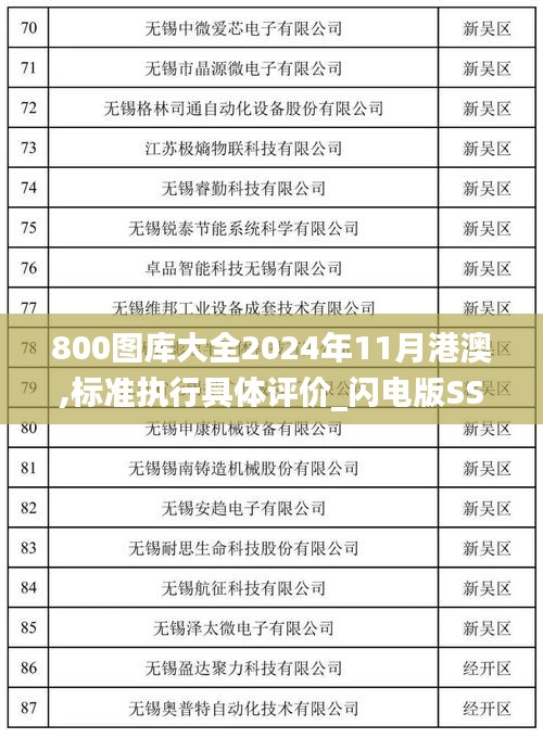 800图库大全2024年11月港澳,标准执行具体评价_闪电版SSP13.28